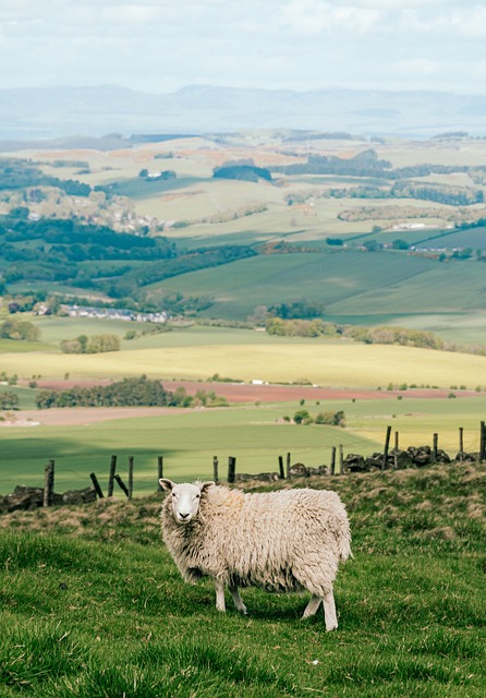 retreat-scotland